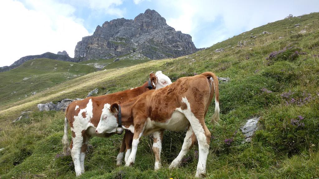 Appartamento Haus Traudl Mayrhofen Esterno foto